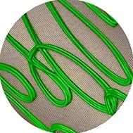 big-green-on-black-1408x-300x.webp